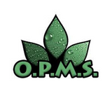 OPMS GOLD SHOTS Brand Logo